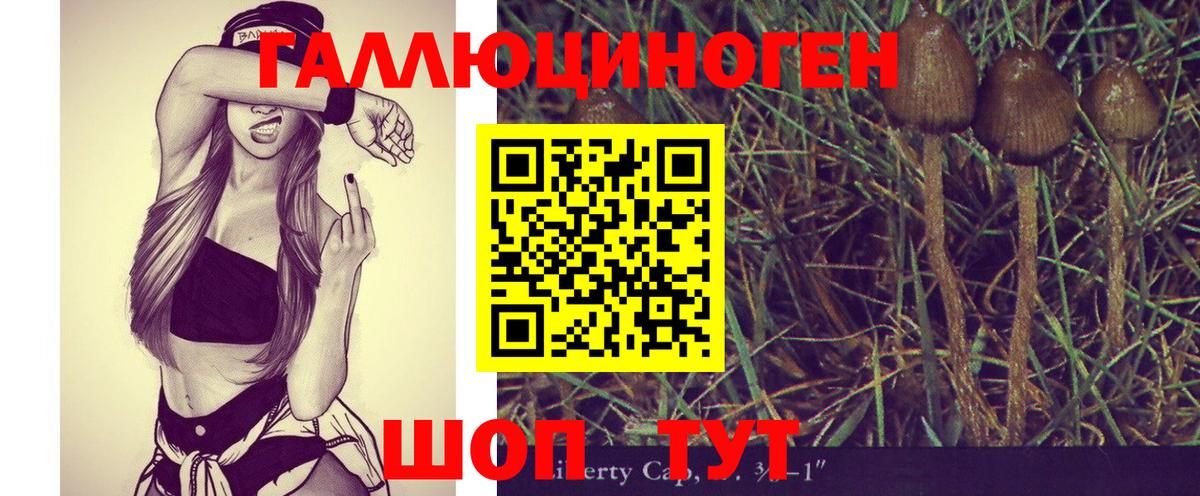 Галлюциногенные грибы ЛСД Мелеуз
